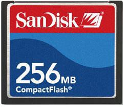 Память Compact Flash 256Mb - фото